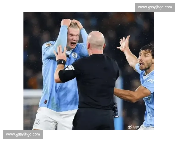 热刺因球迷恐同言论被英足总罚款 7.5 万镑 热刺因球迷恐同言论被英足总罚款 7.5 万镑