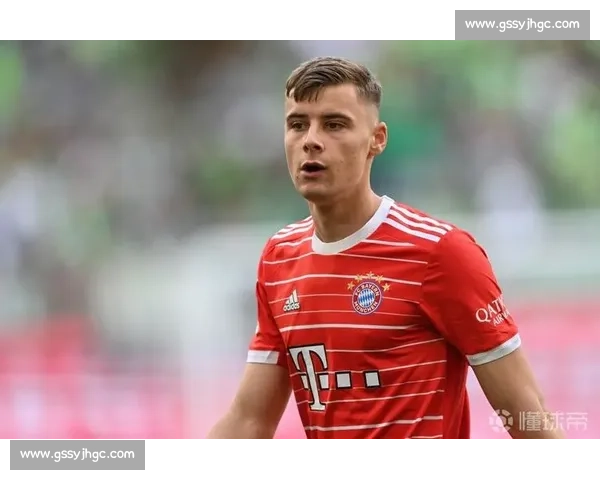 官方：拜仁前锋维多维奇 120 万欧加盟萨格勒布迪纳摩，身披 10 号剑指双冠