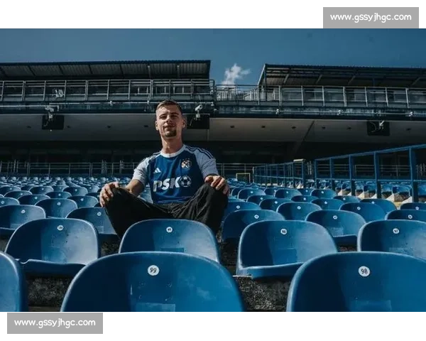 官方:拜仁前锋维多维奇 120 万欧加盟萨格勒布迪纳摩,身披 10 号剑指双冠 官方:拜仁前锋维多维奇 120 万欧加盟萨格勒布迪纳摩,身披 10 号剑指双冠